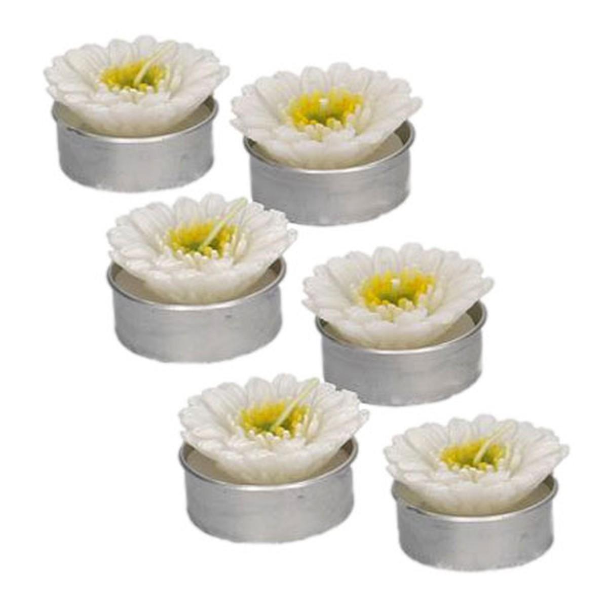 Candela Gerbera Bianca cm.4 pz.6 | Vacchetti