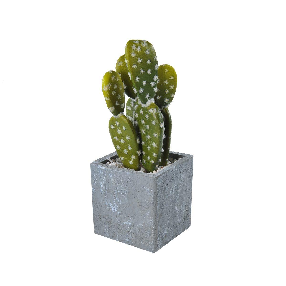 Fiore Vasetto Pianta Grassa cm.8x8x21 | Montemaggi