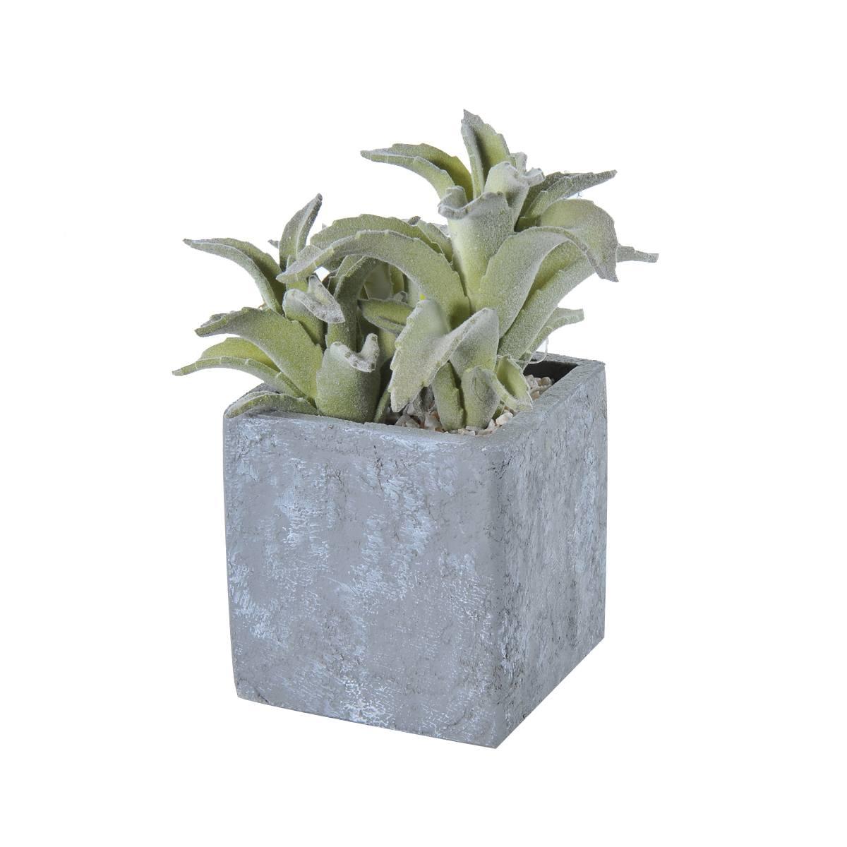 Fiore Vasetto Pianta Grassa cm.8x8x21 | Montemaggi