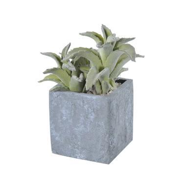 Fiore Vasetto Pianta Grassa cm.8x8x21 | Montemaggi