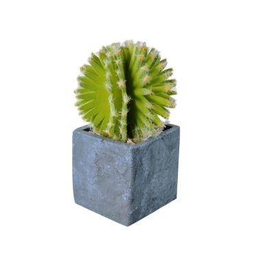 Fiore Vasetto Pianta Grassa cm.8x8x21 | Montemaggi