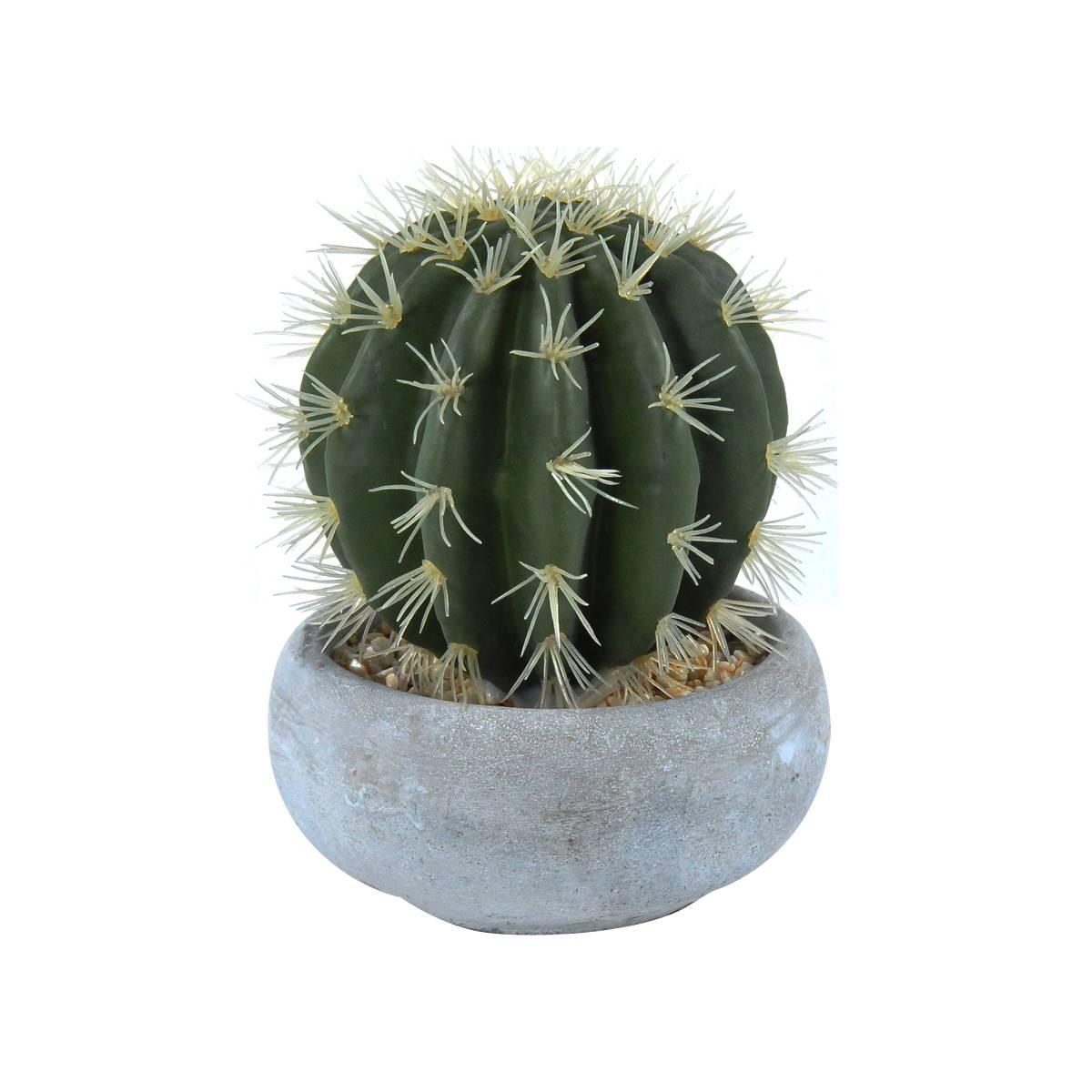 Fiore Vasetto Pianta Grassa cm.12,5x23 | Montemaggi