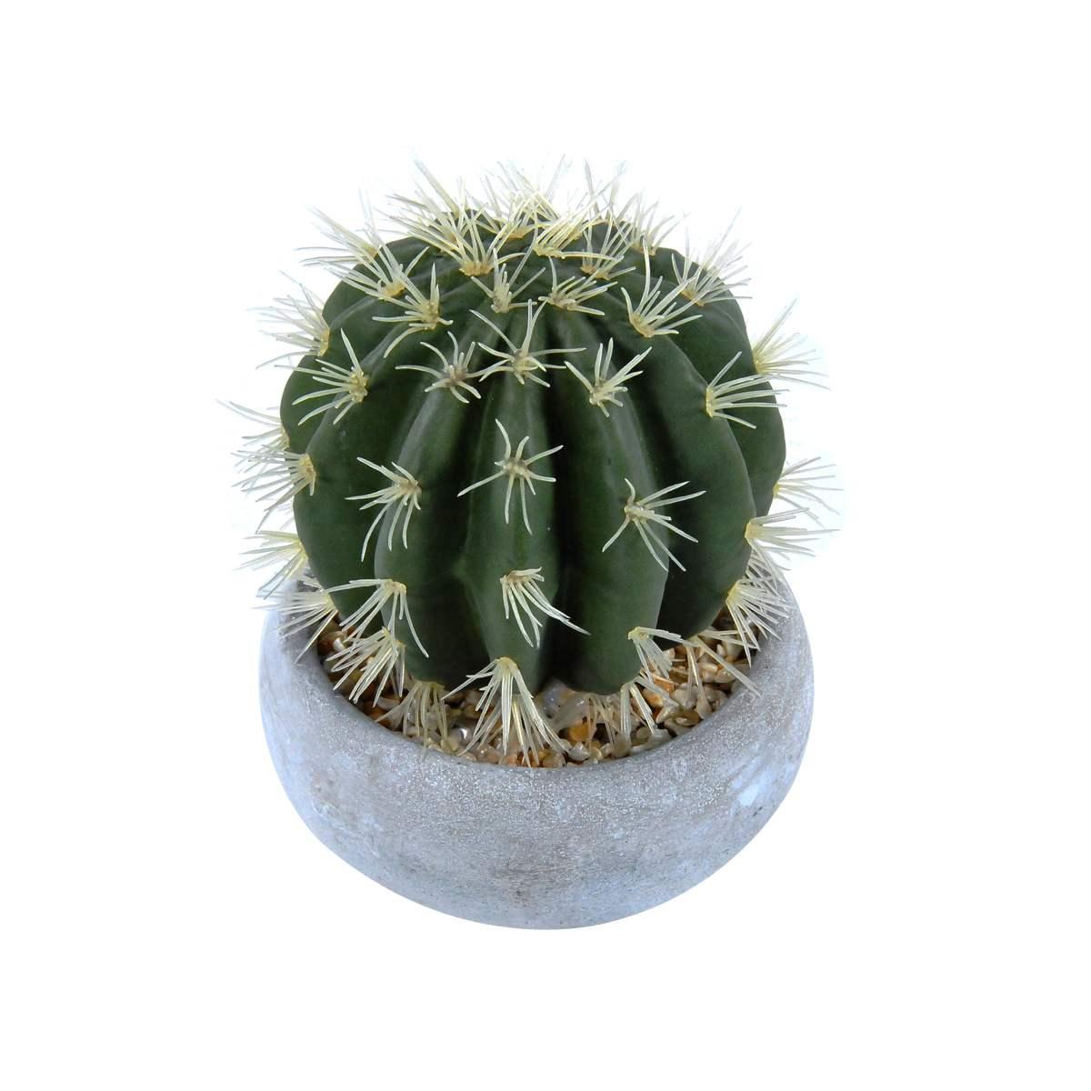 Fiore Vasetto Pianta Grassa cm.12,5x23 | Montemaggi