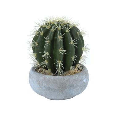 Fiore Vasetto Pianta Grassa cm.12,5x23 | Montemaggi