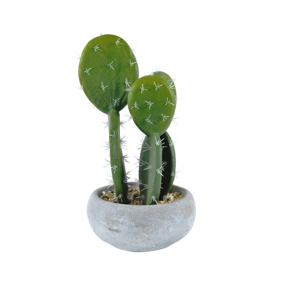 Fiore Vasetto Pianta Grassa cm.12,5x23 | Montemaggi