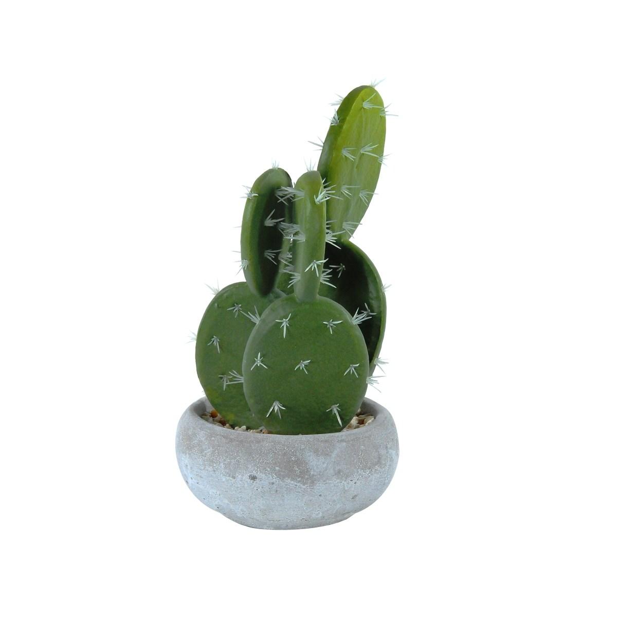 Fiore Vasetto Pianta Grassa cm.12,5x23 | Montemaggi