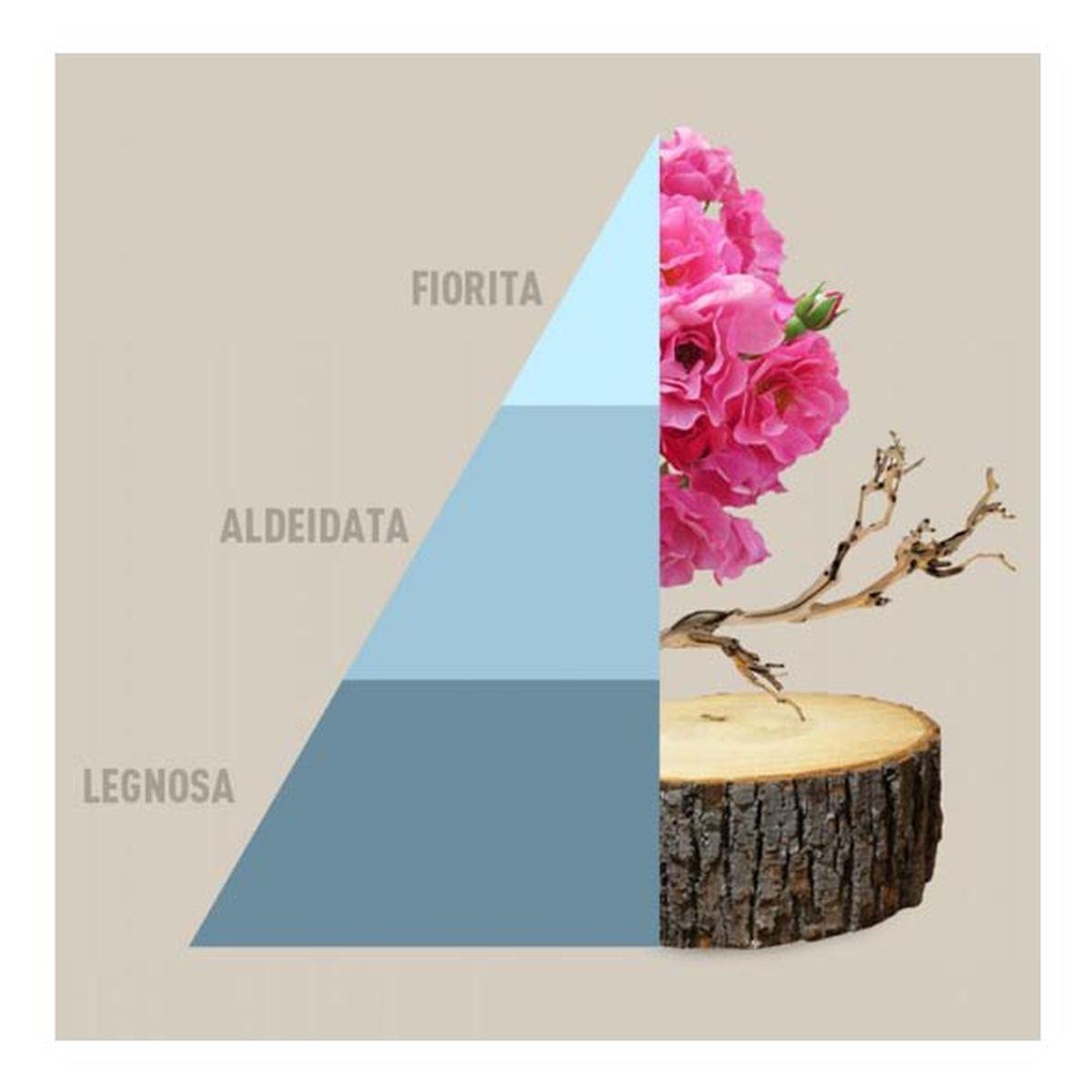 Profumatore Bucato Fresh Cotton ml.50 | Horomia