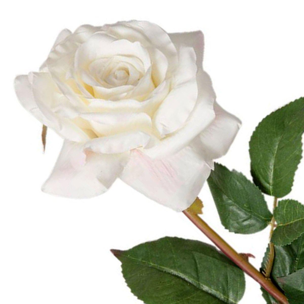 Fiore Rosa Bianco cm.73 | Vacchetti