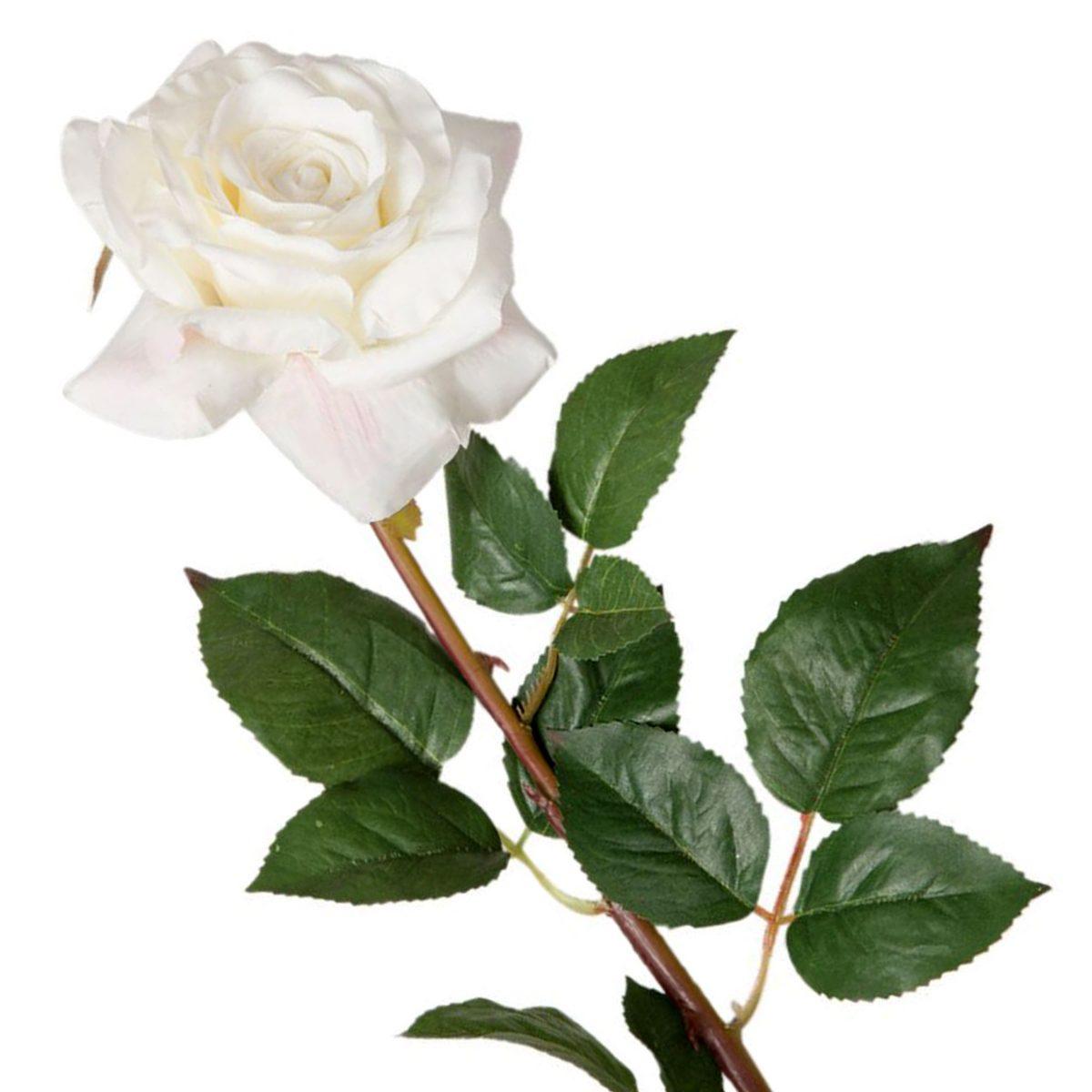 Fiore Rosa Bianco cm.73 | Vacchetti