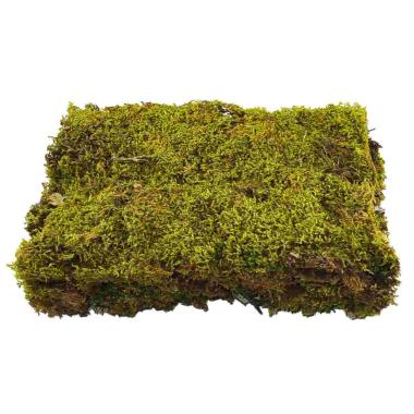 Muschio Naturale Essicato gr.350 | Rossi Rosa