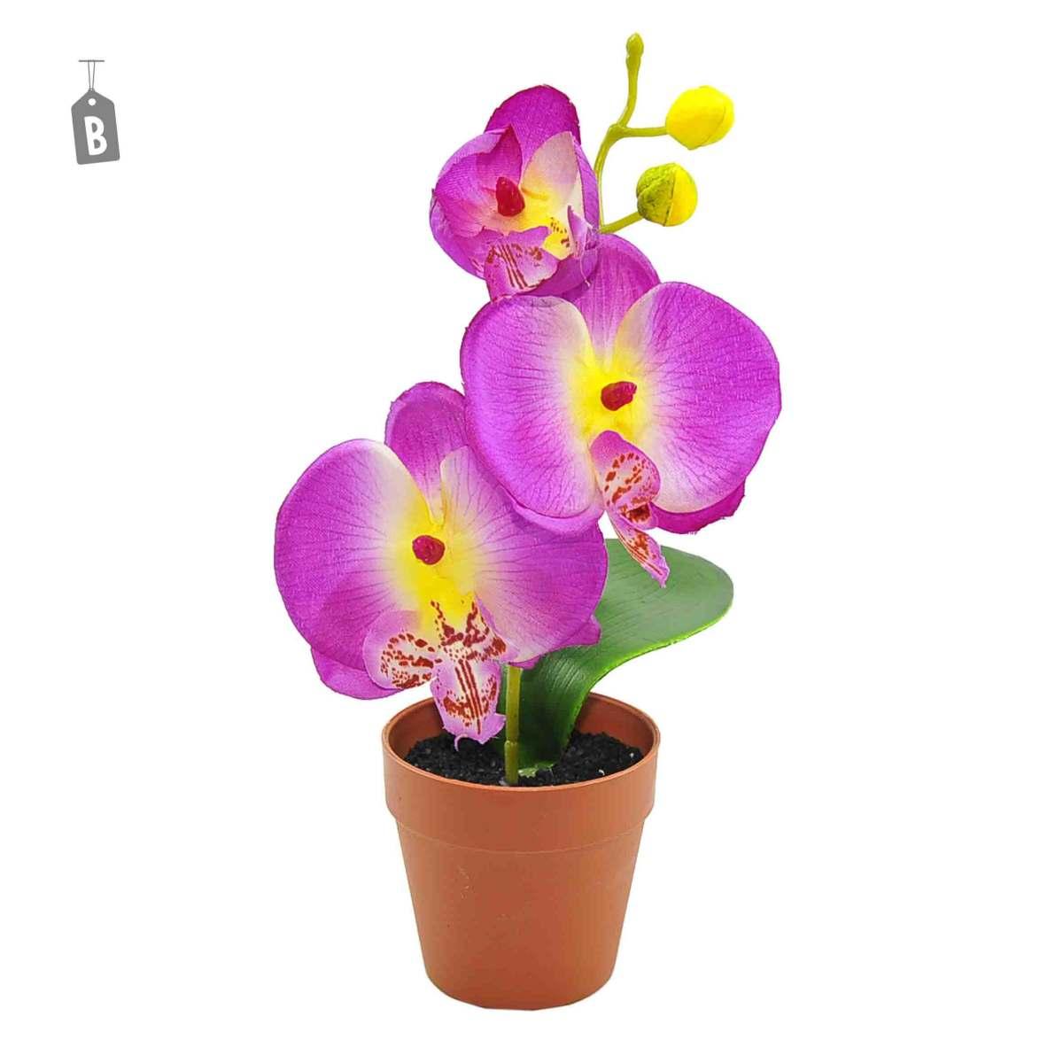 Fiore Vasetto Orchidea Assortito 2 Colori cm.Ø7xh24 | M2 Store