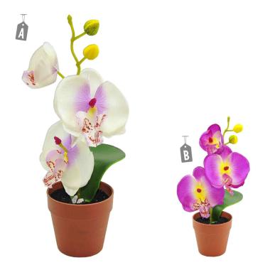 Fiore Vasetto Orchidea Assortito 2 Colori cm.Ø7xh24 | M2 Store
