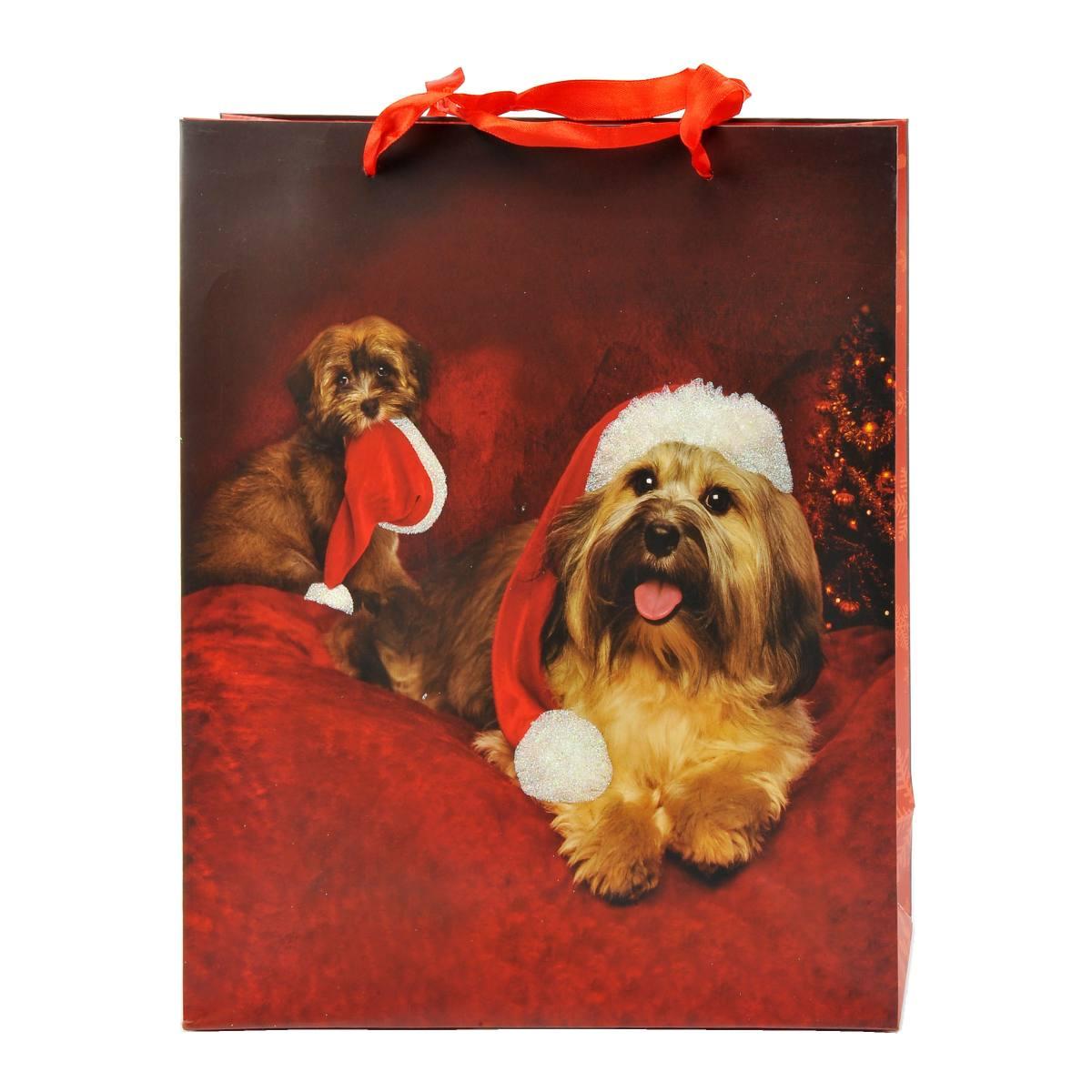 Busta Regalo Natale Cagnolini 32x26x10