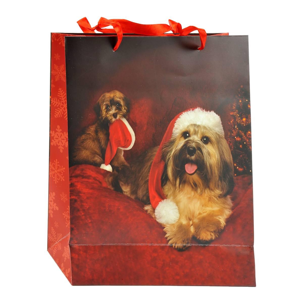 Busta Regalo Natale Cagnolini 32x26x10