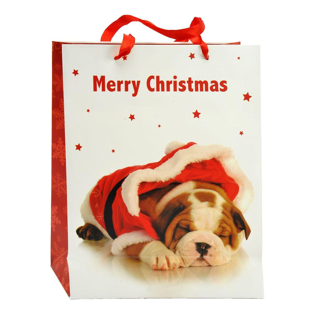 Busta Regalo Natale Cagnolini 32x26x10