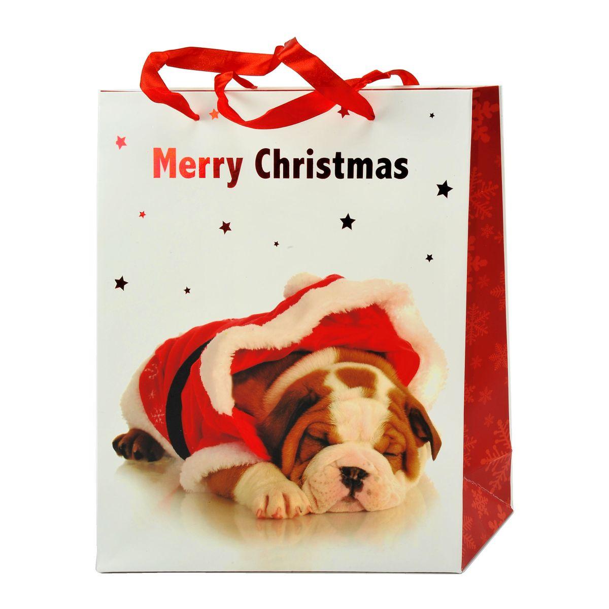 Busta Regalo Natale Cagnolini 32x26x10