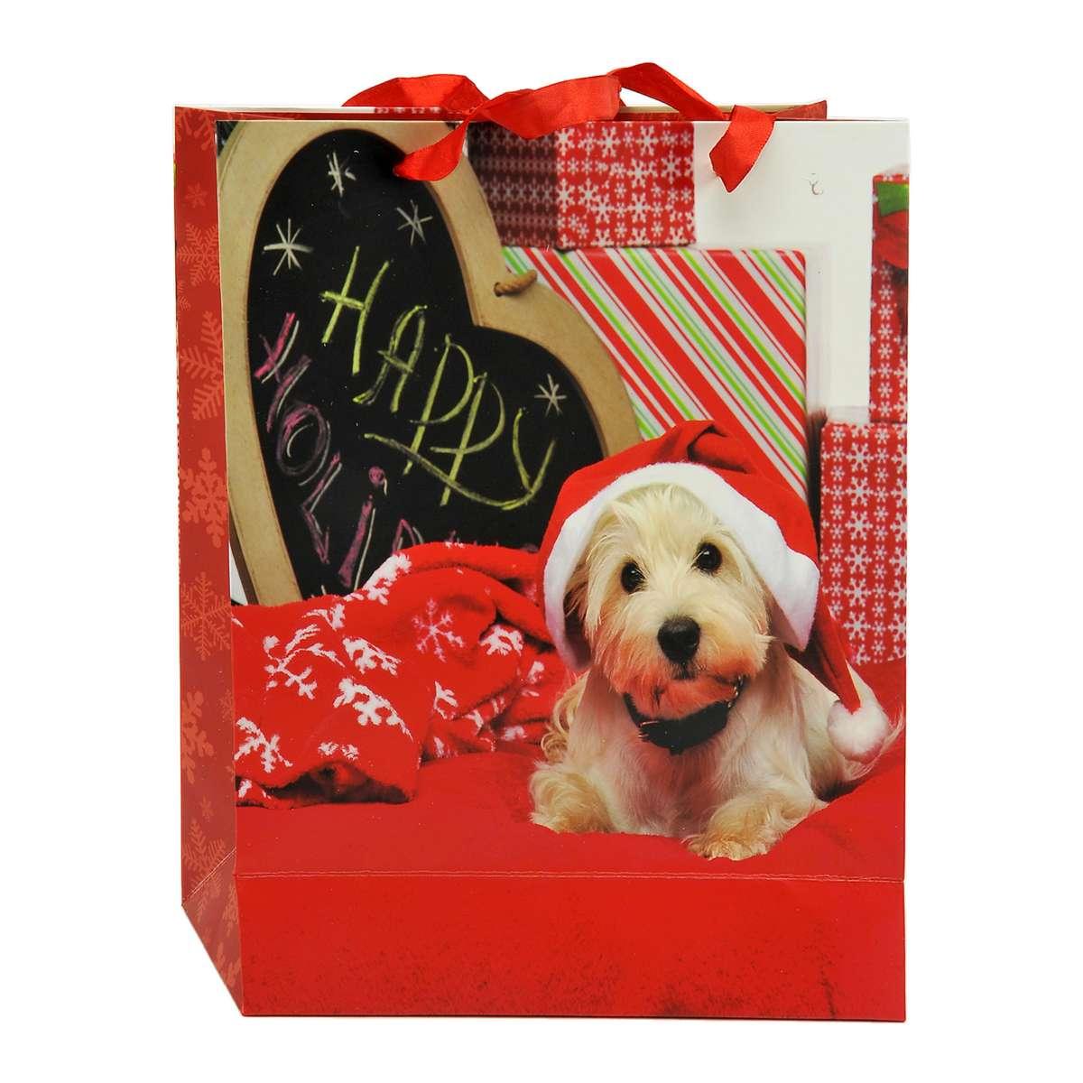 Busta Regalo Natale Cagnolini 32x26x10