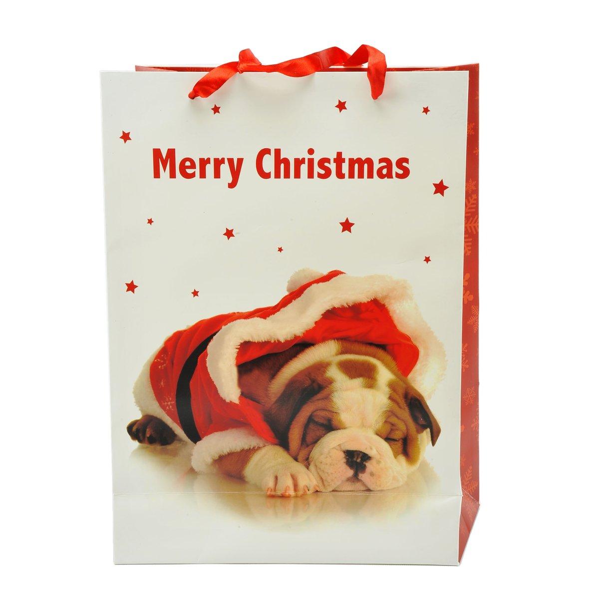 Busta Regalo Natale Cagnolini 42x30x12