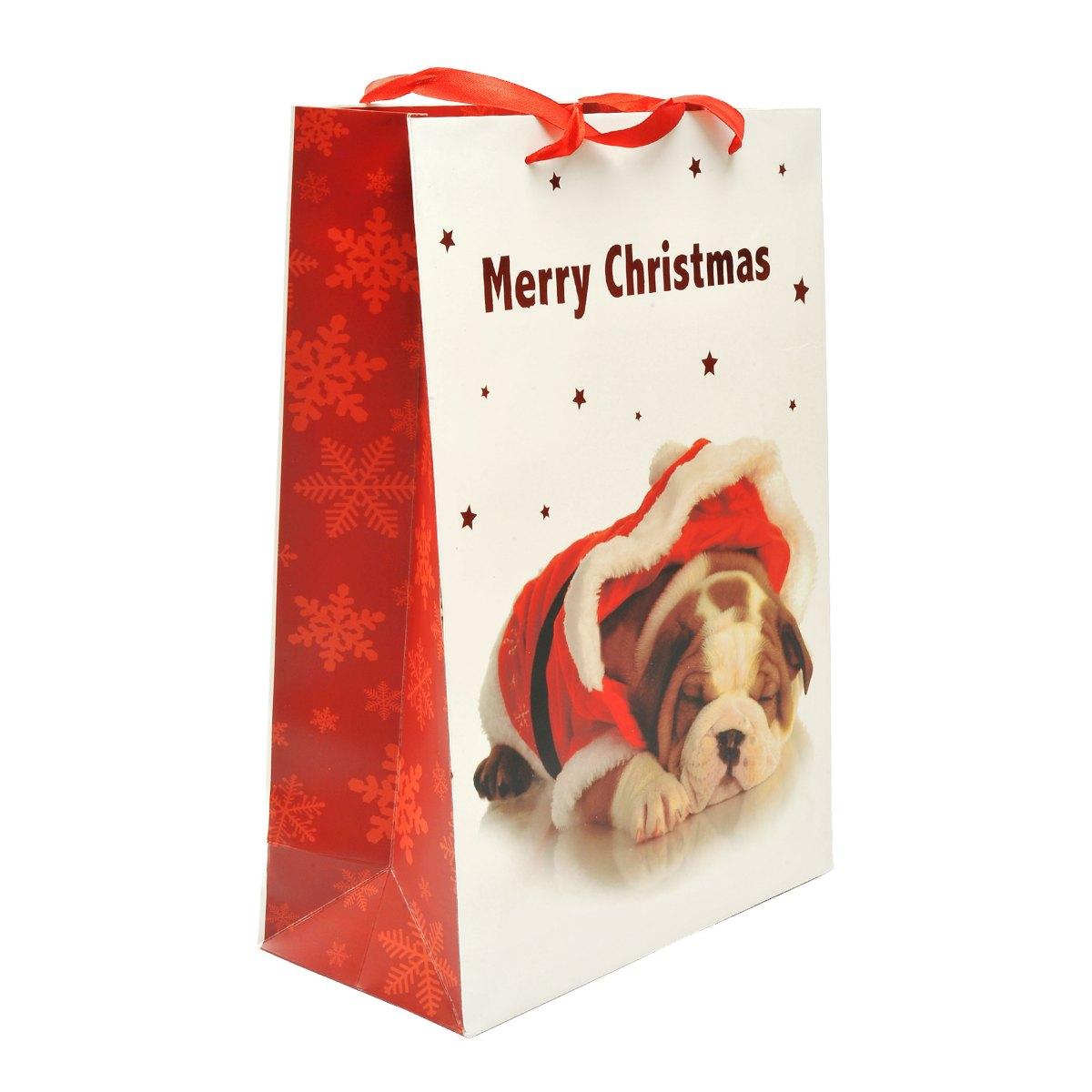 Busta Regalo Natale Cagnolini 42x30x12