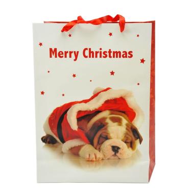 Busta Regalo Natale Cagnolini 42x30x12