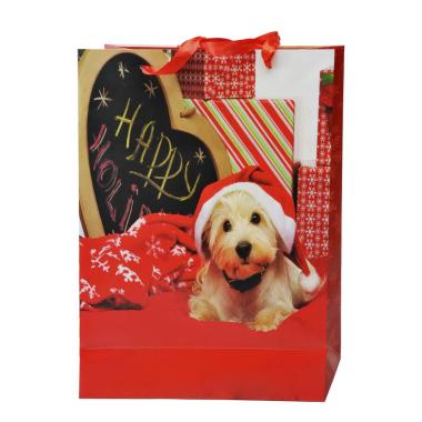 Busta Regalo Natale Cagnolini 42x30x12