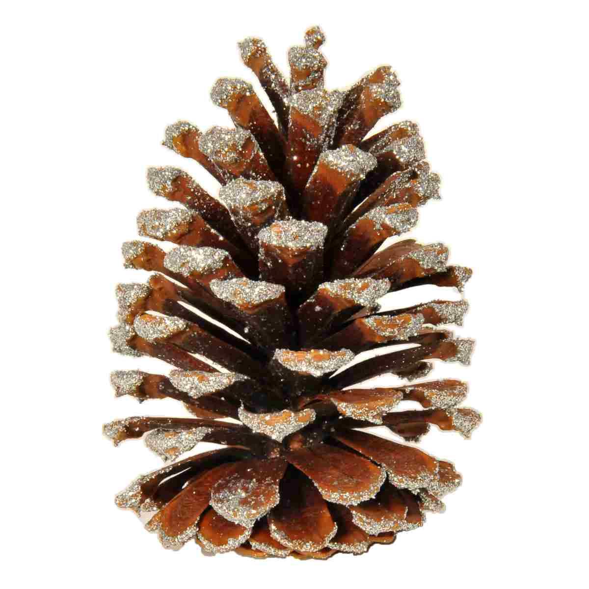 Pigna Naturale Argento Glitter m.12 Set pz.18 |M2 Store