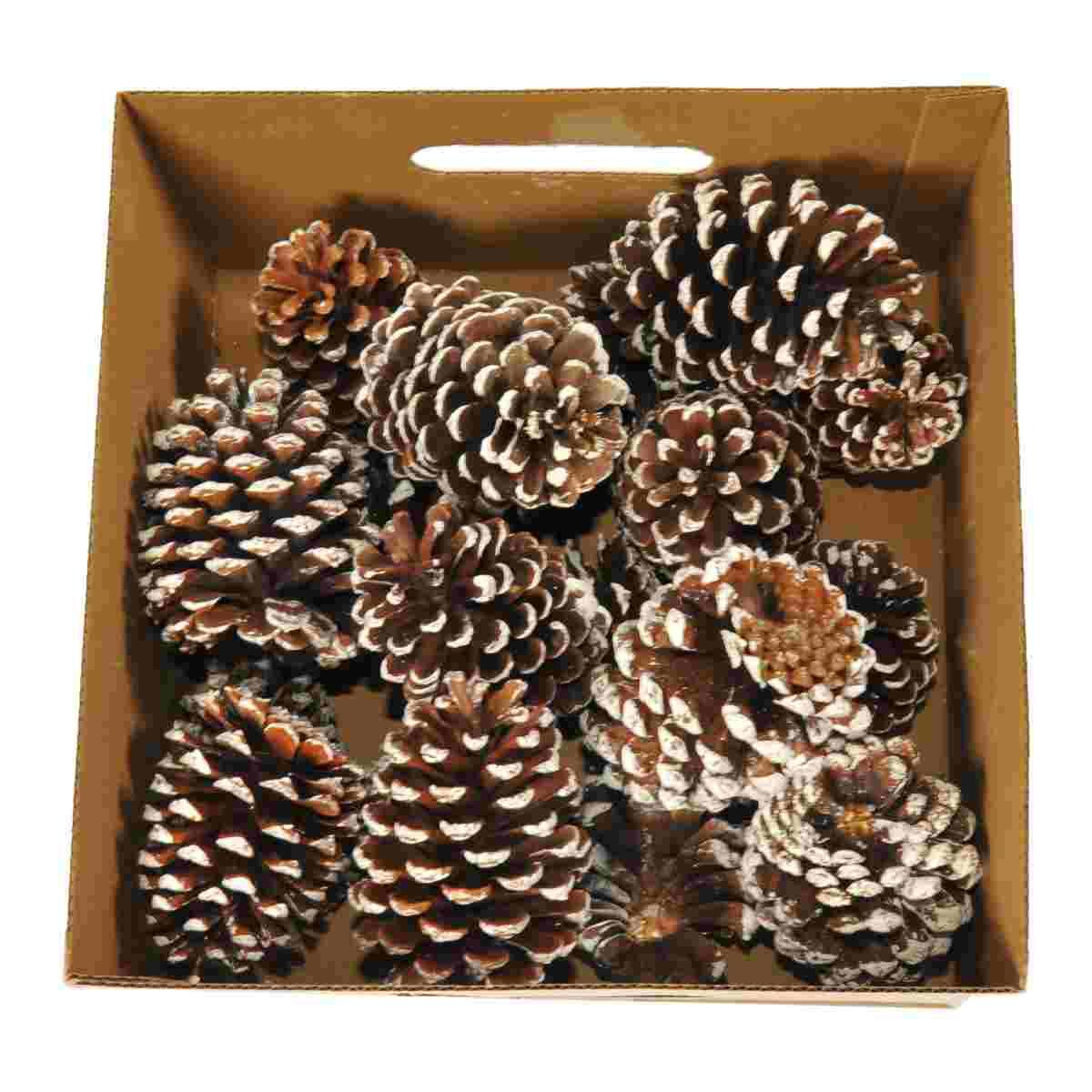 Pigna Naturale Innevata m.12 Set pz.18 |M2 Store