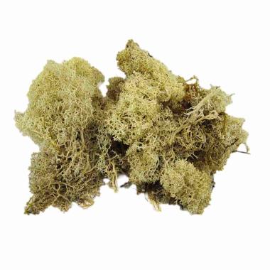 Lichene Sintetico Bianco e Marrone gr.30 | M2 Store