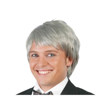 Parrucca Grigia Liscia con Frangia |Carnival Toys