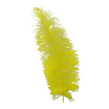 Piuma Struzzo cm.60/70 Gialla |Guirca