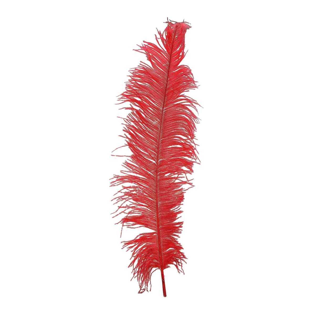 Piuma Struzzo cm.60/70 Rossa |Guirca