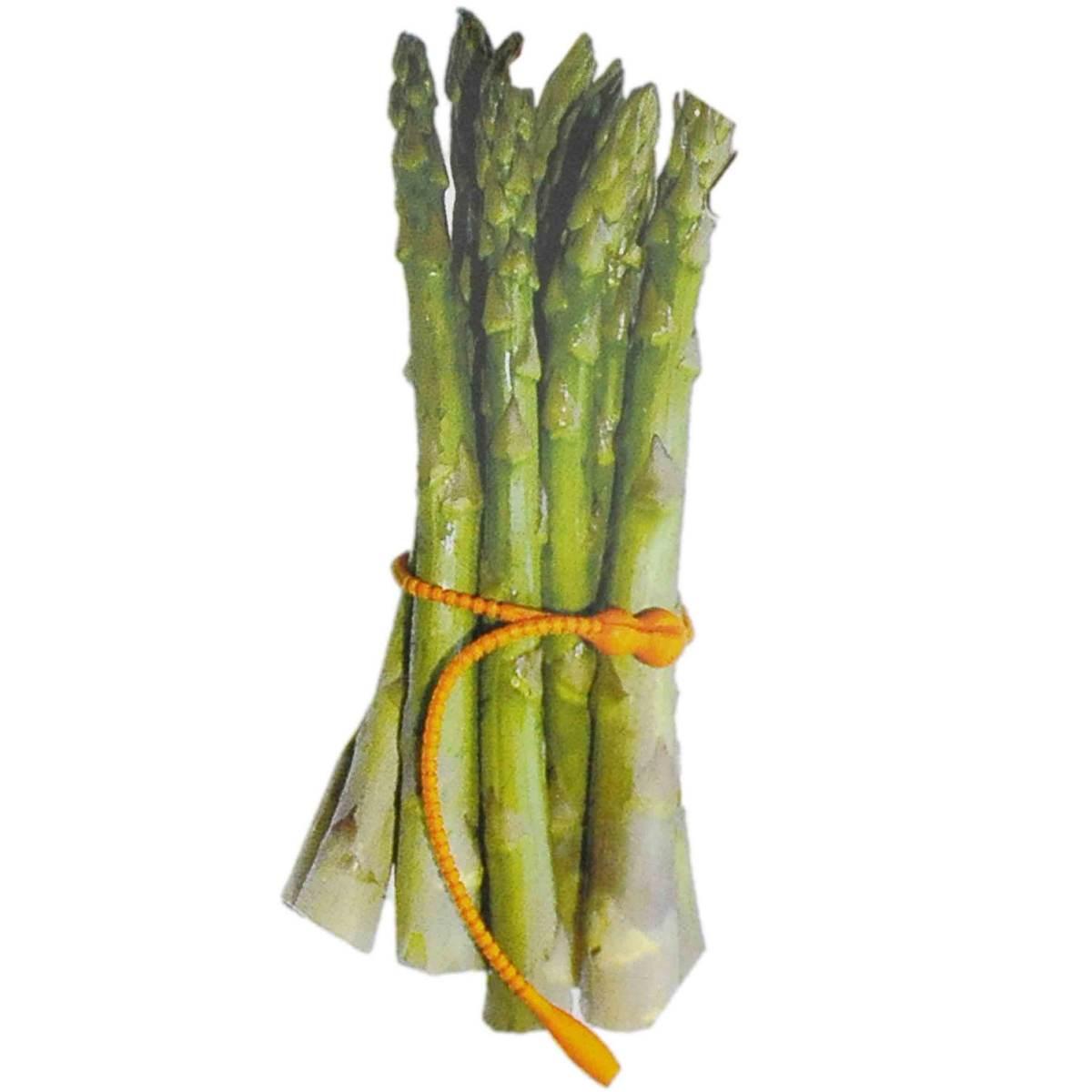 Lacci Silicone pz.6 Gp&My Show Laurito | Pedrini