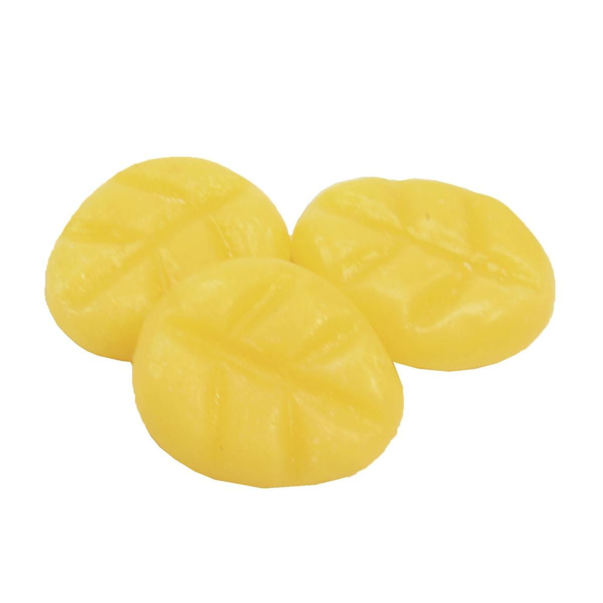 Candela Chips Mini Musk & Fresh Wood cm.4x3,5 | Chentchips