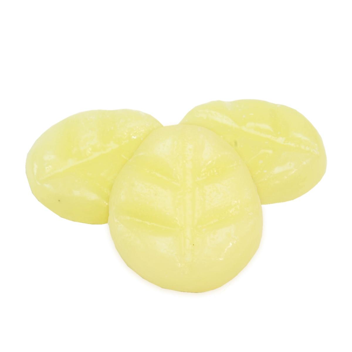 Candela Chips Mini White Tea Ginger cm.4x3,5 | Chentchips