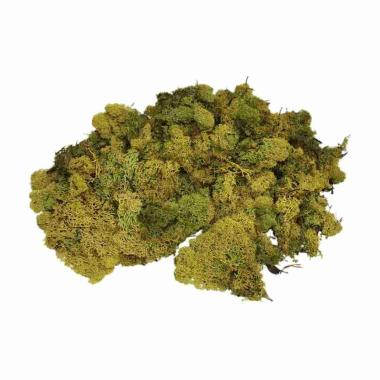 Lichene Sintetico Verde gr.30 | M2 Store