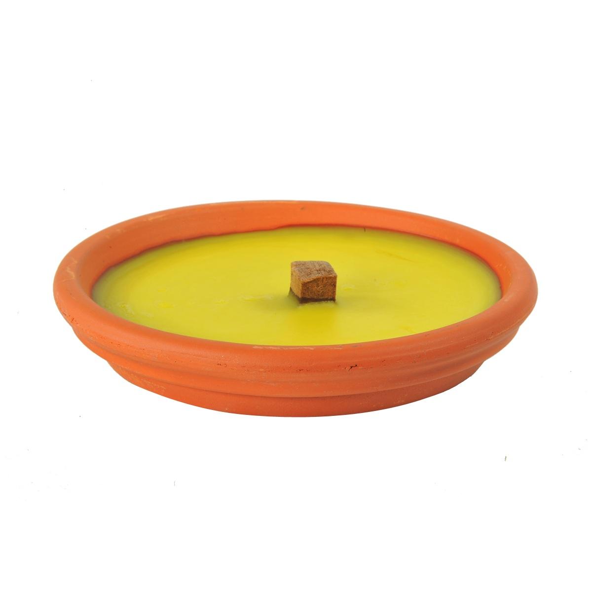 Citronella Coccio cm.15 | M2 Store