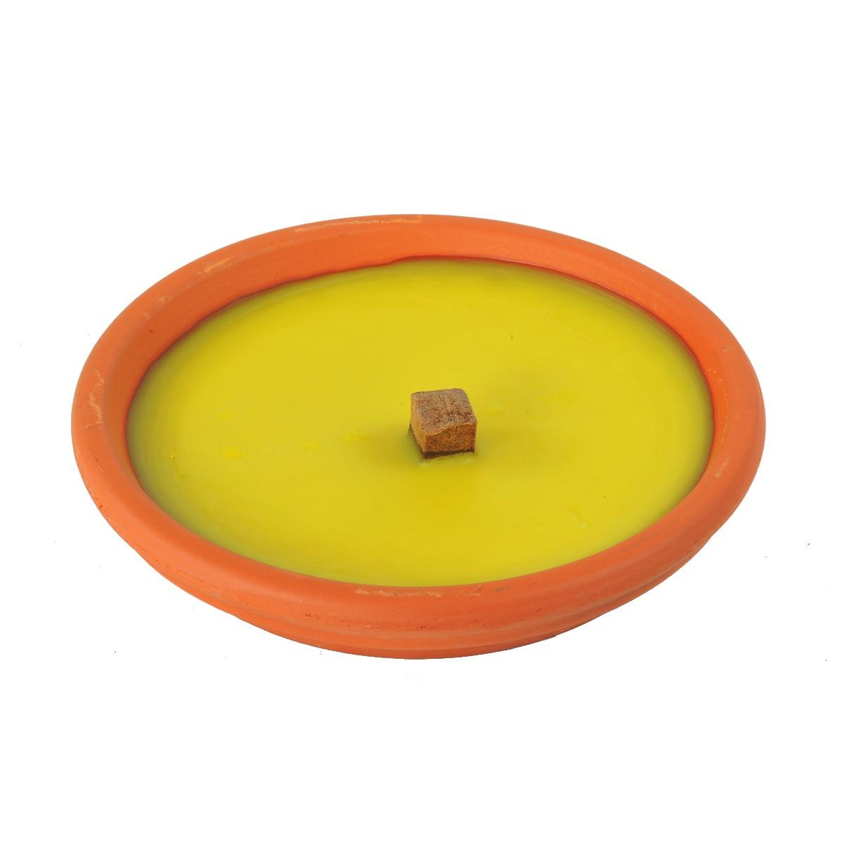Citronella Coccio cm.15 | M2 Store