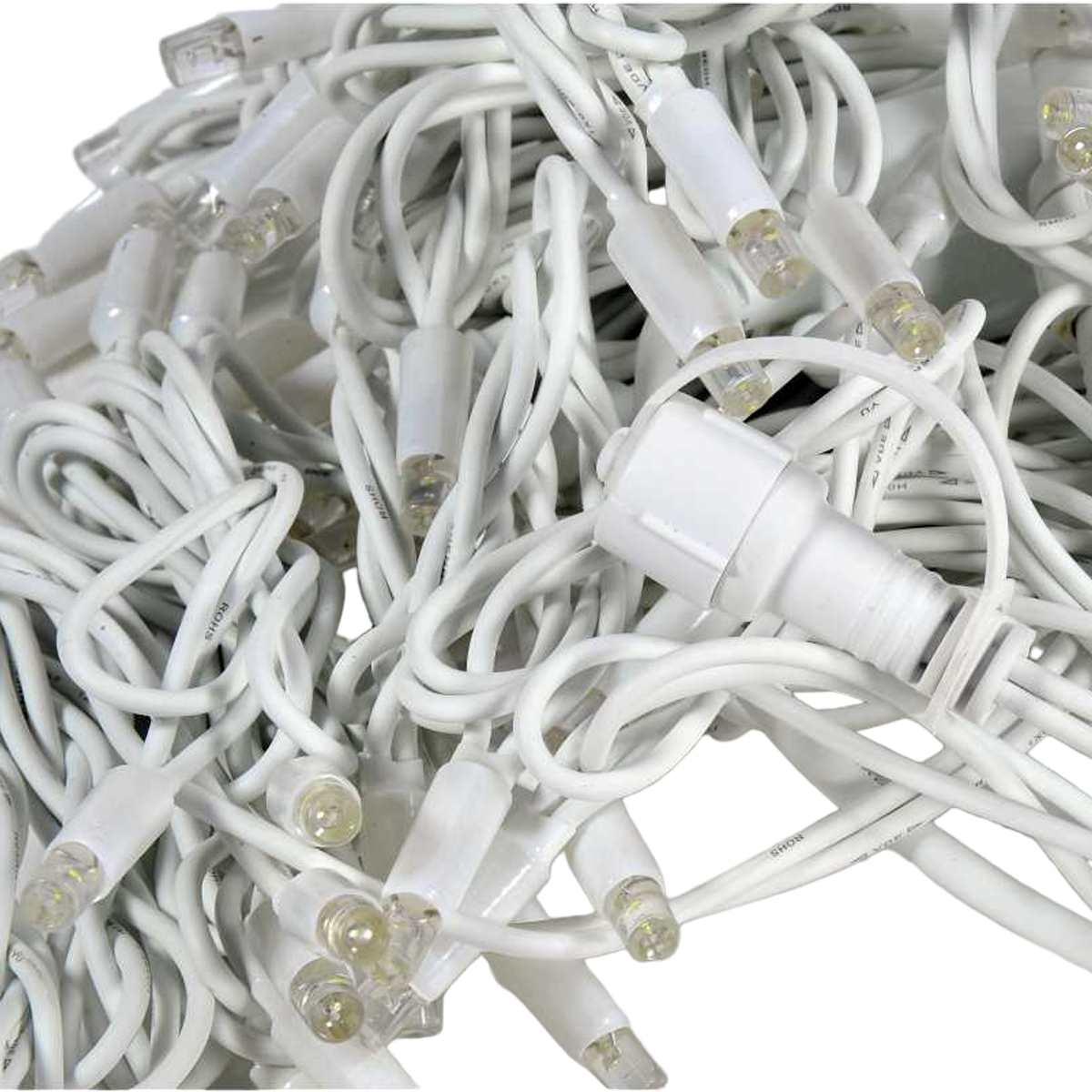 Luci Natale Esterno LED 100 Professionali Bianco Freddo/Flash Prolungabili Mt.11,5 |Silani