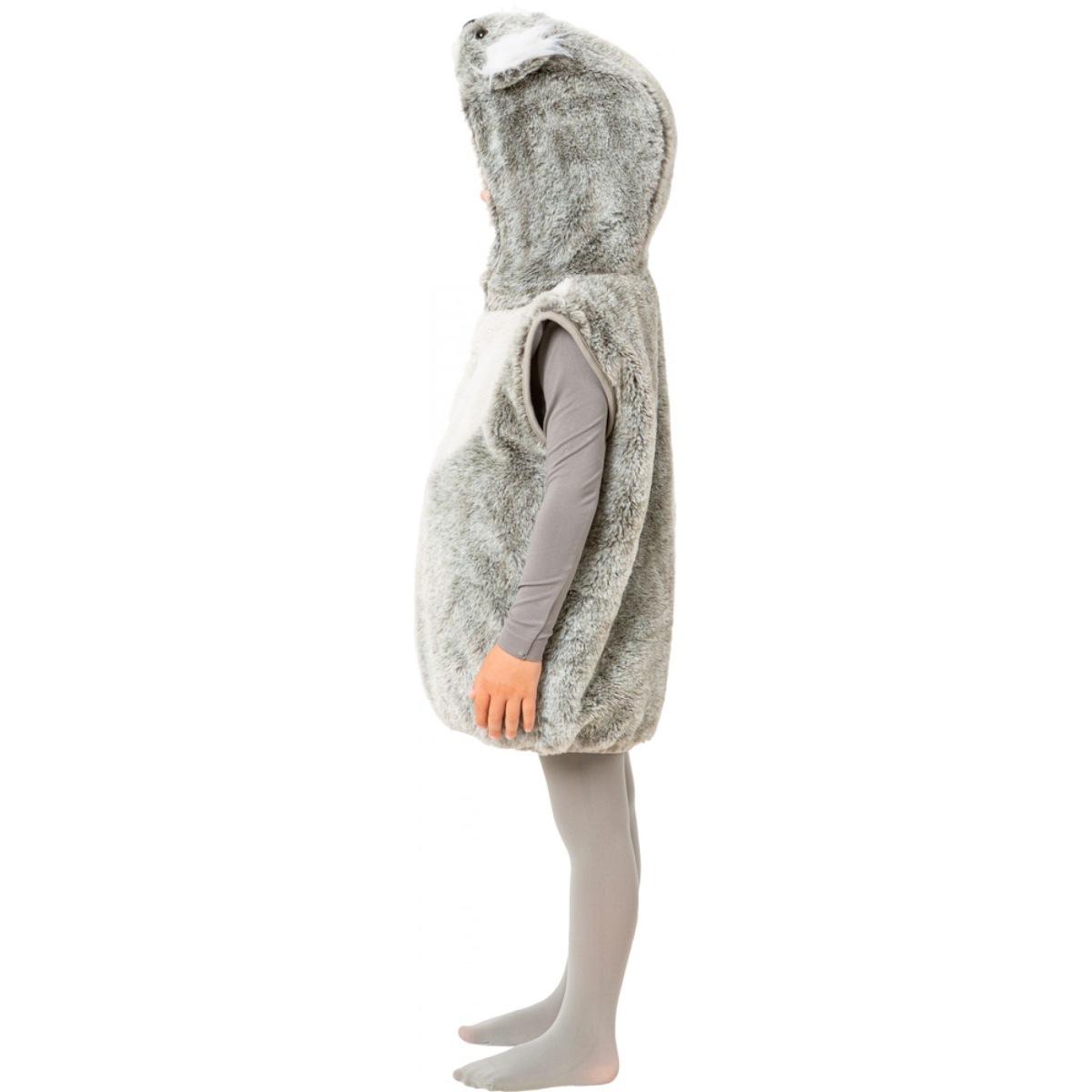 Costume Koala |Orlob