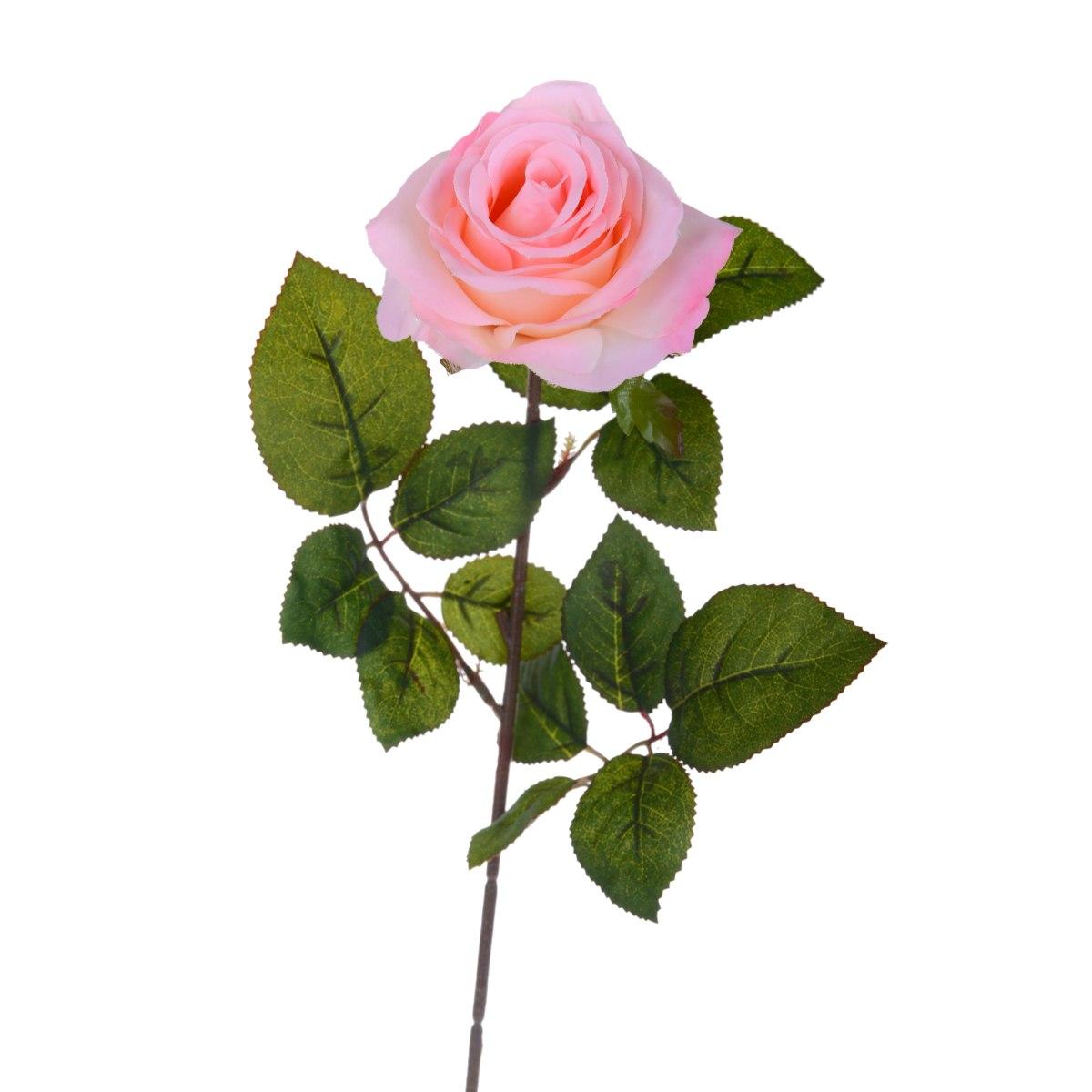 Fiore Rosa cm.67 | Bianchi Dino