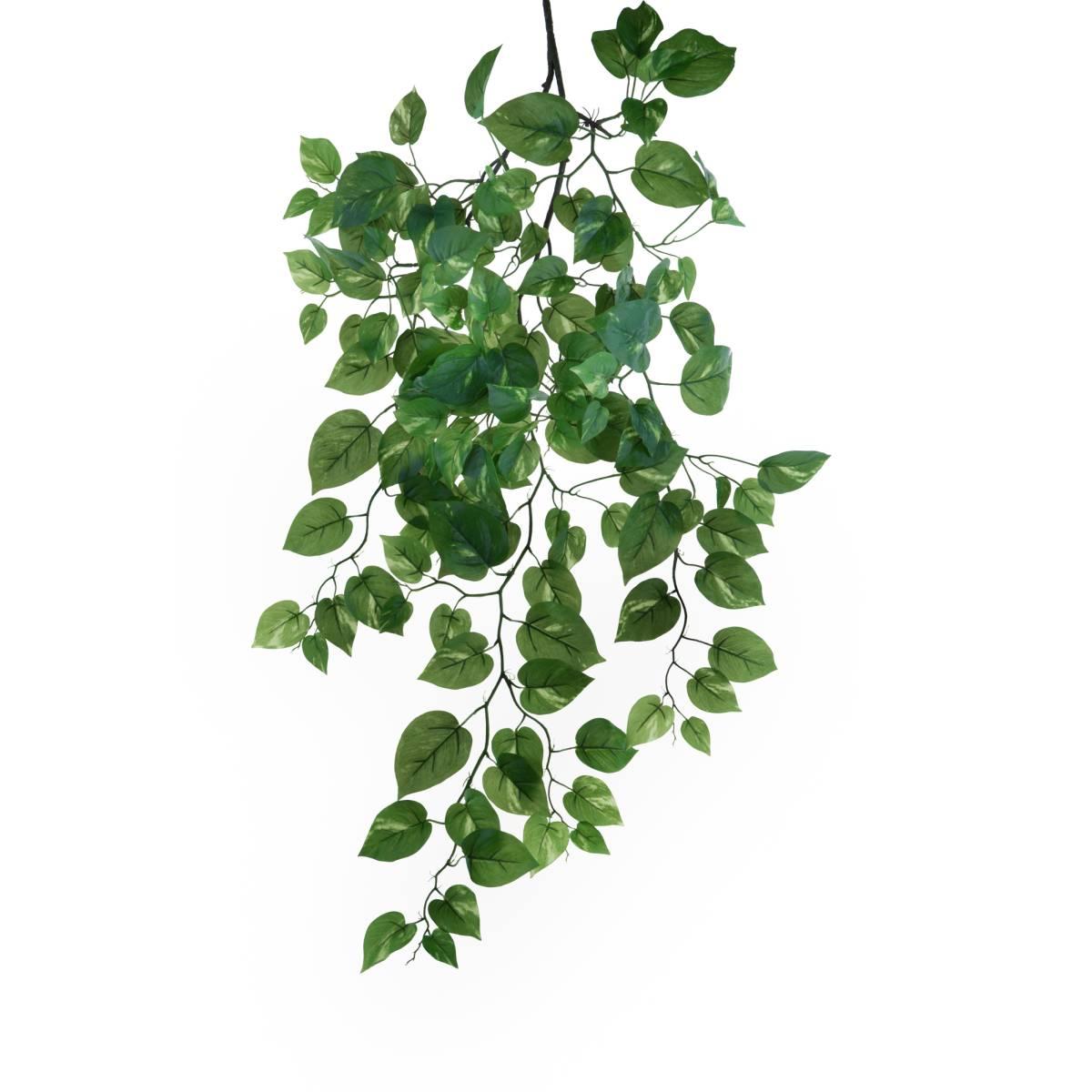 Fiore Pothos Verde Rampicante cm.107 | Bianchi Dino