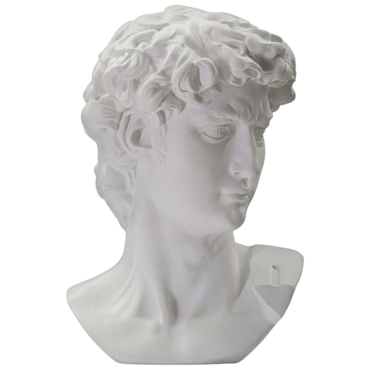 Scultura Testa Antica Bianca cm.44x35,5x60 |Mauro Ferretti