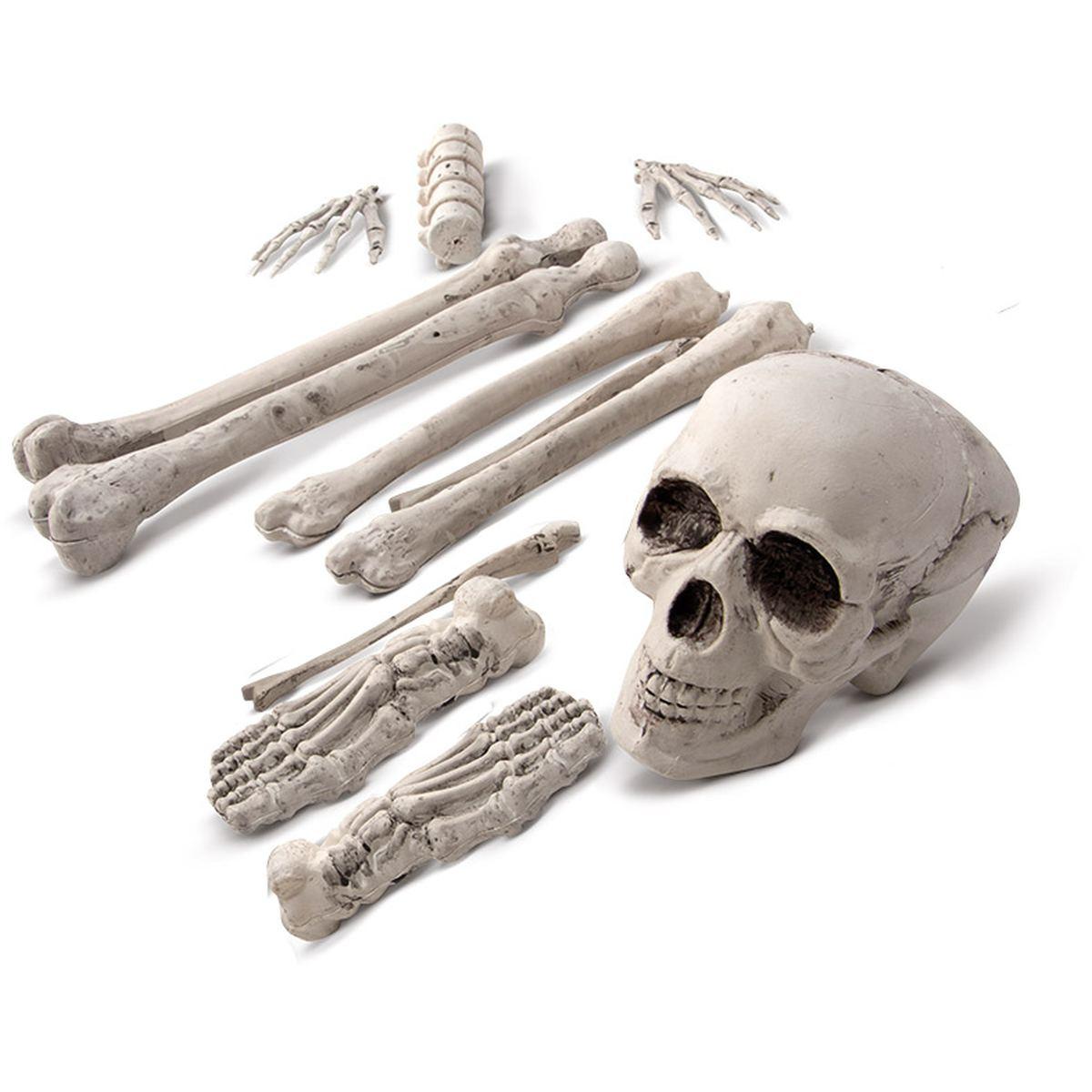 Ossa Scheletro Decorative Set pz.12 |Carnival Toys