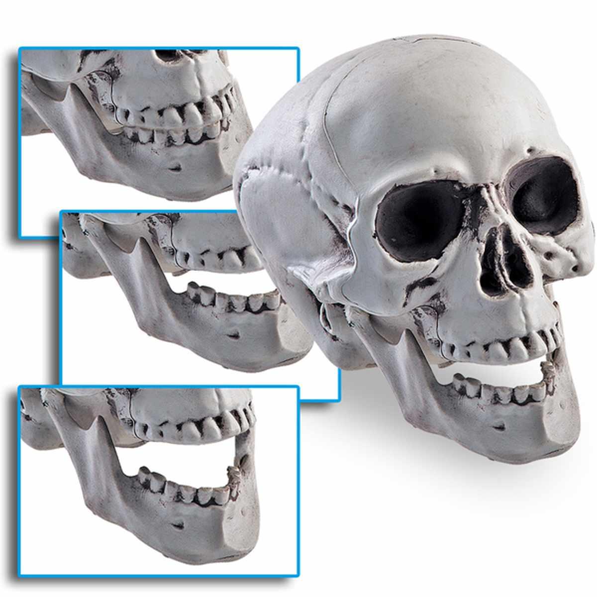 Teschio con Mandibola Mobile cm.15 |Carnival Toys