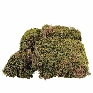 Muschio Naturale Verde Lux Essiccato Busta gr.150 | M2 Store