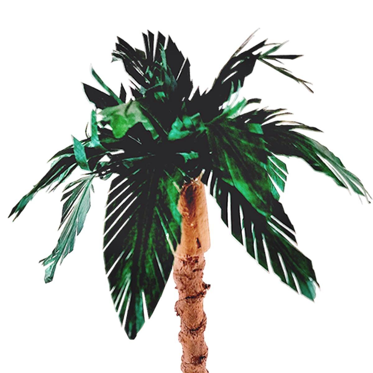 Albero Palma Verde senza base: fusto Legno cm.h20 | M2 Store