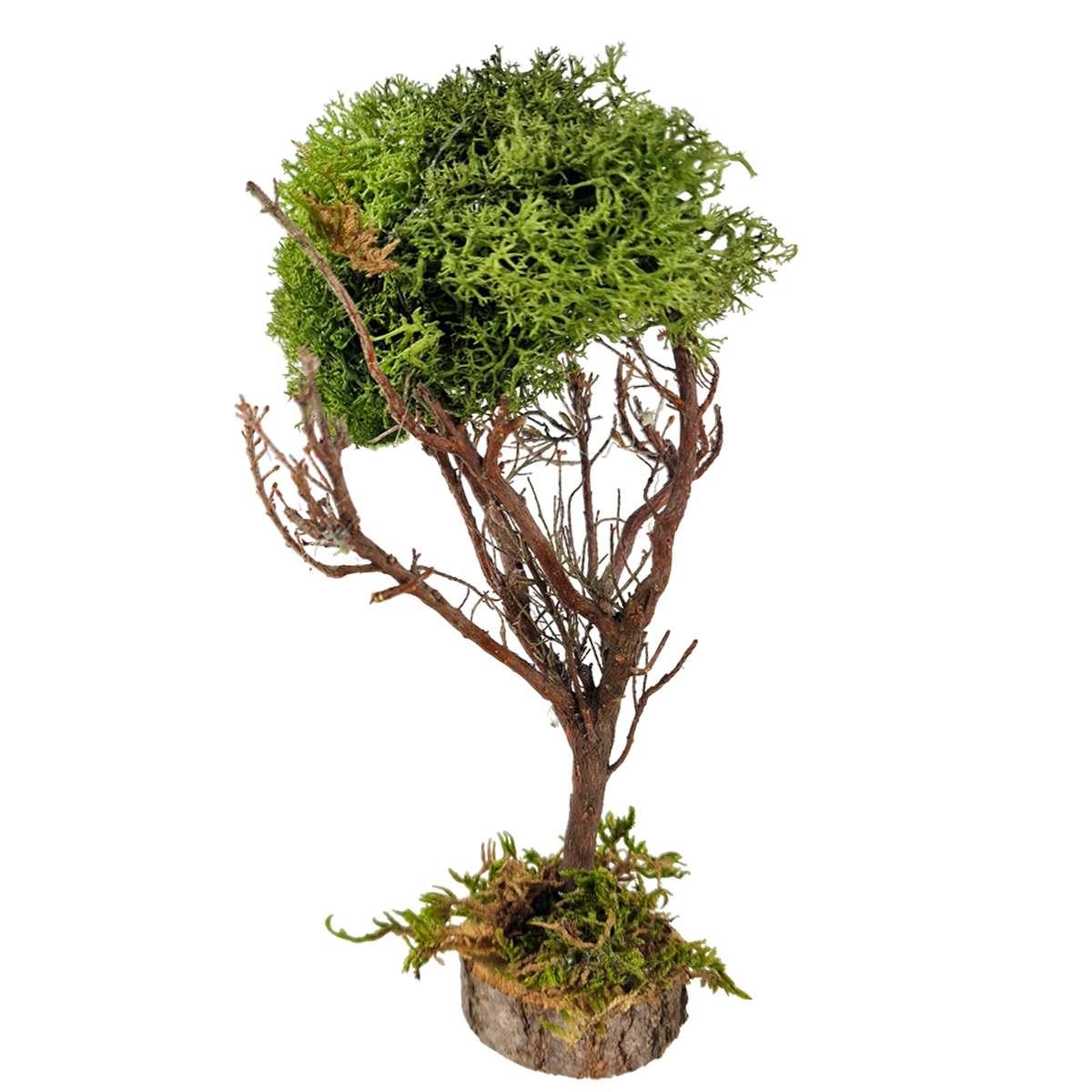 Albero Lichene Verde con Base Legno cm.h20 Artigianale per il | M2 Store