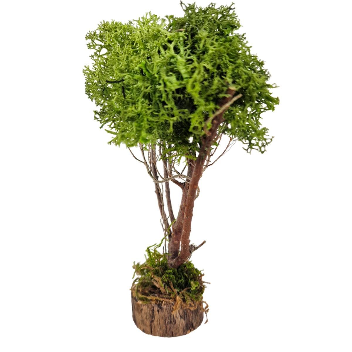 Albero Lichene Verde con Base Legno cm.h16 Artigianale per il | M2 Store