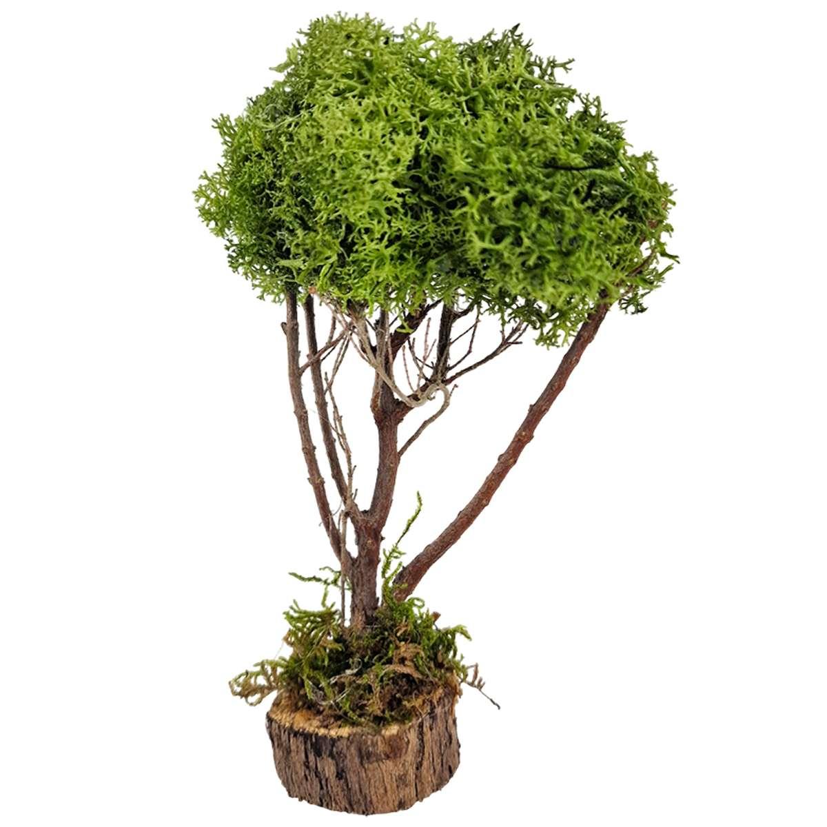 Albero Lichene Verde con Base Legno cm.h16 Artigianale per il | M2 Store
