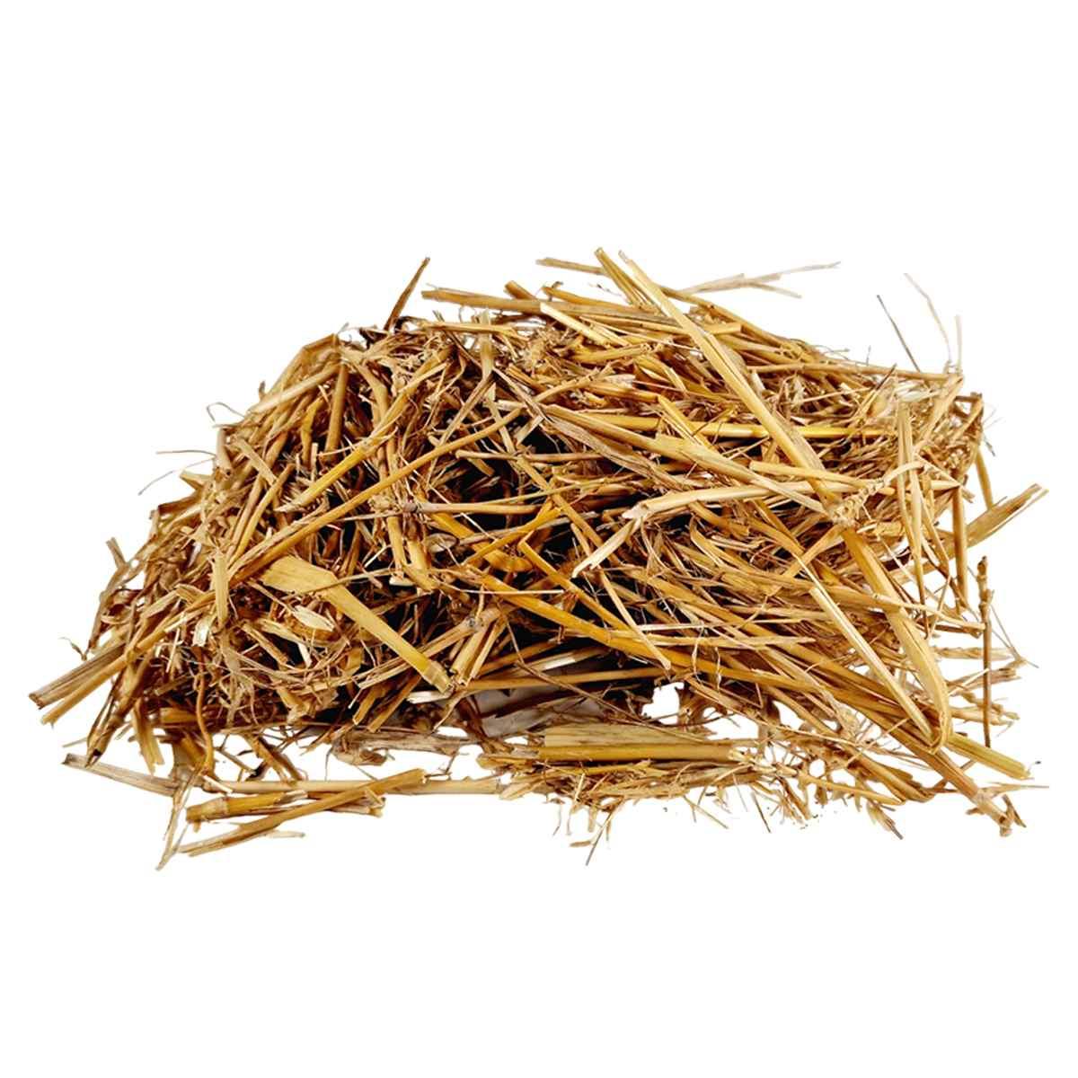 Paglia gr.30 | M2 Store